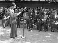 1954_B156.jpg