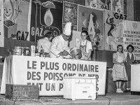 1954_B846.jpg