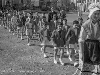 1954_B811.jpg