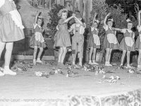 1954_B137.jpg