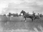 1949_b208.jpg