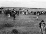 1949_b651a.jpg