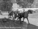 1947_b715.jpg