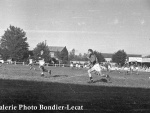 1949_b169b.jpg