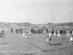 1949_b221.jpg