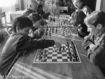 1992_js17_1.jpg