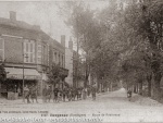 1915_cp338.jpg