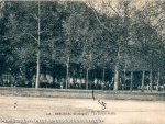 1911_CP367.jpg
